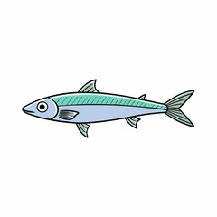 anchovy fish on white background