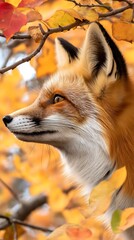 Obraz premium Fox observing surroundings among vibrant autumn leaves