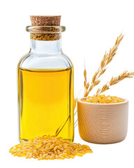 isolated transparent Background. Golden rice bran oil in glass bottle with cork, surrounded by rice grains and stalks