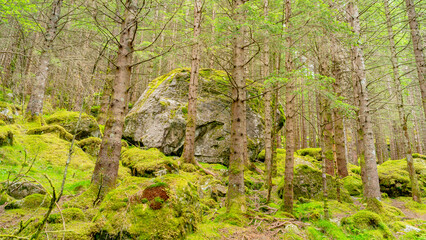 Mitten im Naturparadies Eidslandet in Norwegen