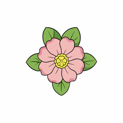 vector illustration of a hellebore flower