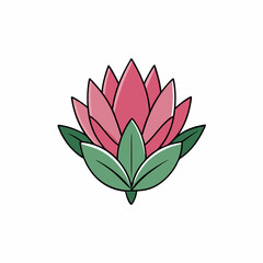 vector illustration of king protea flower