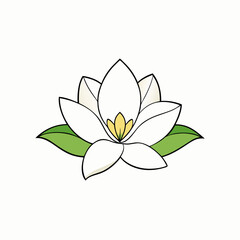magnolia flower vector illustration