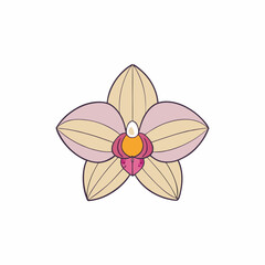 orchid on a white background