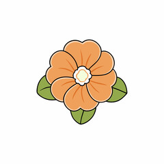 primrose flower vector illustration