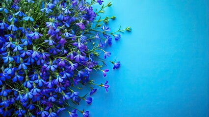 Obraz premium Modern Overhead Photography of Dynamic Lobelia Blues on Solid Color Background for Creative Copy Space Design Elements