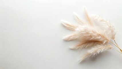 Obraz premium Overhead Architectural Flat Lay: Soft Feminine White Background Power Shot Design