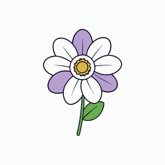 windflower on white background