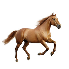 Obraz premium a dynamic depiction of a horse in mid-gallop showcasing its powerful physique and graceful movement against a plain background