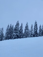 snow landscape in a ski resort