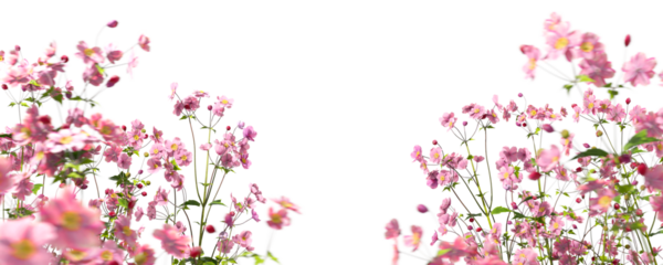 Foreground pink flowers beautify garden isolate on transparent backgrounds 3d illustrations png