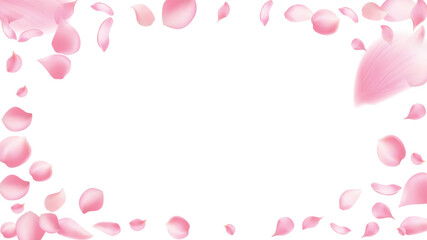 Rose petals or sakura flying petals, romantic background with realistic pink cherry flower petals flow or falling motion. Love, romance, floral spring season,cherry blossom © Sompong
