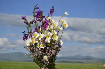The photo captures the delicate harmony of nature: vibrant flowers blooming under the warm sunlight, their petals shimmering in all shades of the rainbow. Lush greenery surrounds them, creating a sens © Georgia