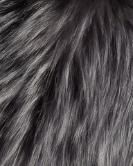 Fototapeta premium Dark Gray Fur Texture Seamless Pattern Background grey soft hair wool high plush style