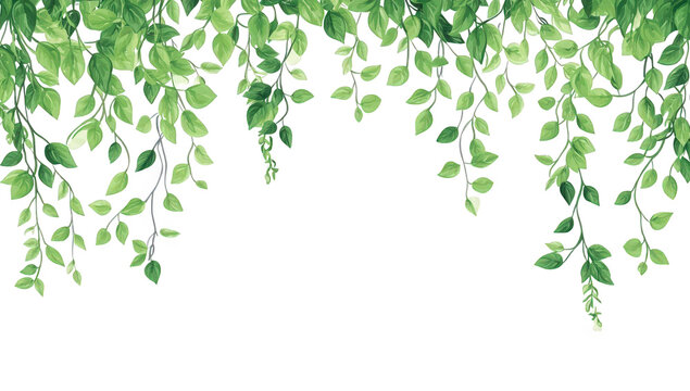 green leaves cascading down from the top creating a natural frame against a white background ideal for backgrounds or decorative purposes