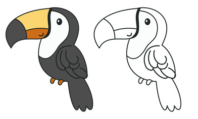 Flat vector illustration for children's coloring book. Cute toucan in black and white and color version. Wild animals of safari and Africa . Vector illustration © Alena