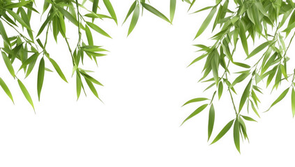 a serene composition featuring vibrant green bamboo leaves against a white background ideal for nature-themed designs or backgrounds