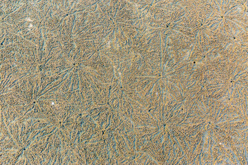 Hole of crabs on the sand beach. sand textured.