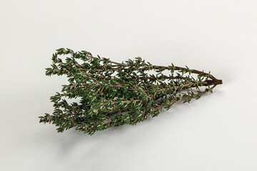 Fresh green Thyme branch isolated