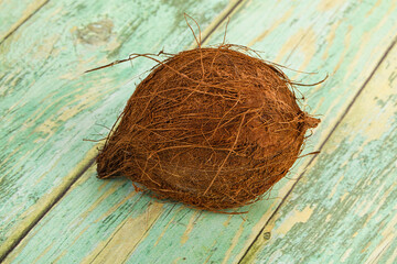 Tropical exotic brown haired coconut