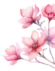 Fototapeta premium PNG Blossom flower petal plant.