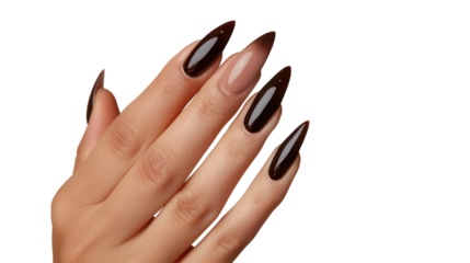 Woman hand showing brown manicure on transparent background