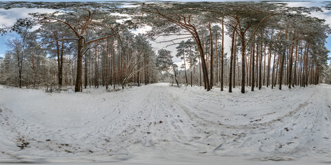 winter full spherical 360 hdri panorama view on pedestrian road in snowy forest in equirectangular projection. VR AR content.