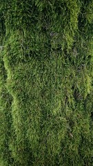 Close-up of vibrant green moss growing on a tree trunk, showcasing rich texture and natural patterns. Perfect for nature backgrounds, organic textures, and environmental themes.