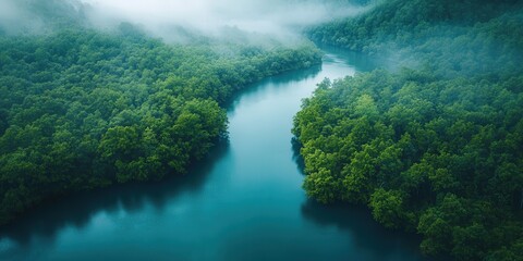 A serene, deep blue-green river meanders through a verdant forest, enveloped in dense foliage