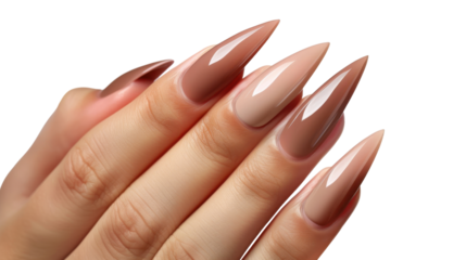 Woman hand showing long stiletto nails with brown ombre manicure on transparent background