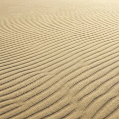 Obraz premium sand ripples in the sand