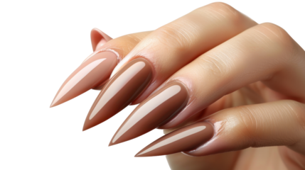 Long stiletto nails with brown nail polish on a transparent background