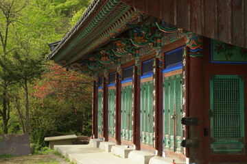 Temple of Bongwonsa, South Korea