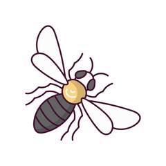 Bee doodle color line icon with white background vector stock illustration