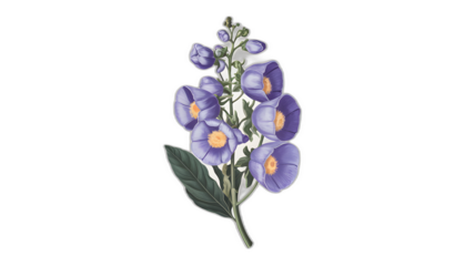 Realistic illustration of fresh, ripe monkshood, emphasizing its smooth texture and vibrant color, against a clean white background for a fresh and minimalistic aesthetic.