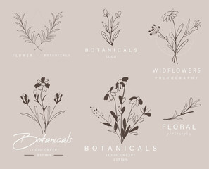 Hand drawn leaf logo design.