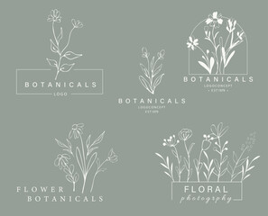 Hand drawn leaf logo design.