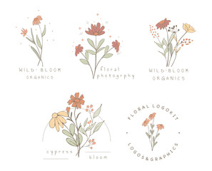 Floral botanical frame collection.