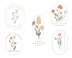 Floral botanical frame collection.