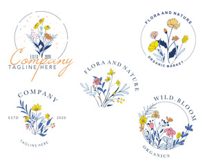 Floral botanical frame collection.