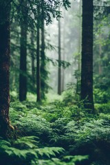 Obraz premium forest in the fog, Generative AI 