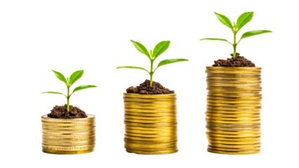 Financial Growth Concept PNG - Money Investment Transparent Image