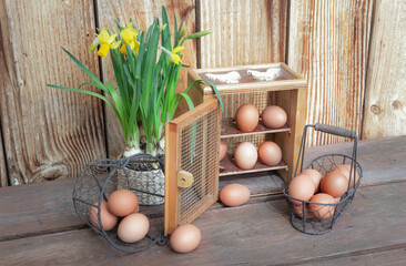 chicken eggs  in little metal baskets and a decorative box on a table with a  daffodils  flowers potted on a wooden wall .