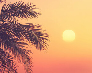 Tropical sunset with palm leaves and warm gradient sky, Minimalist blank background with copy space for text