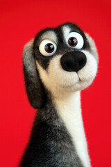 Funny Dog Profile Picture