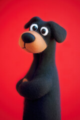 Funny Dog Profile Picture