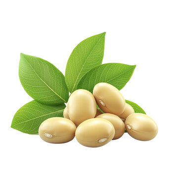 Raw soya beans, a nutritious plant-based protein source, isolated on transparent bckground 