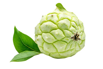 Obraz premium Close Up of a Green Custard Apple with Green Leaves Isolated on Transparent Background in Studio Lighting