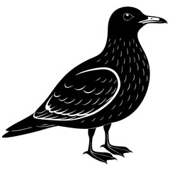 Dagger beak skua  silhouette vector illustration