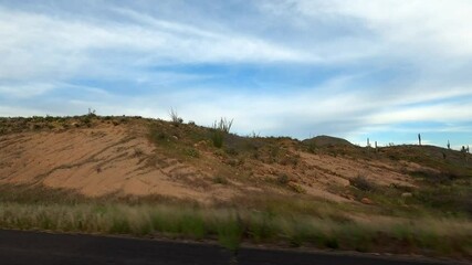 Arizona Driving 1710 Highway Tempe Sunflower